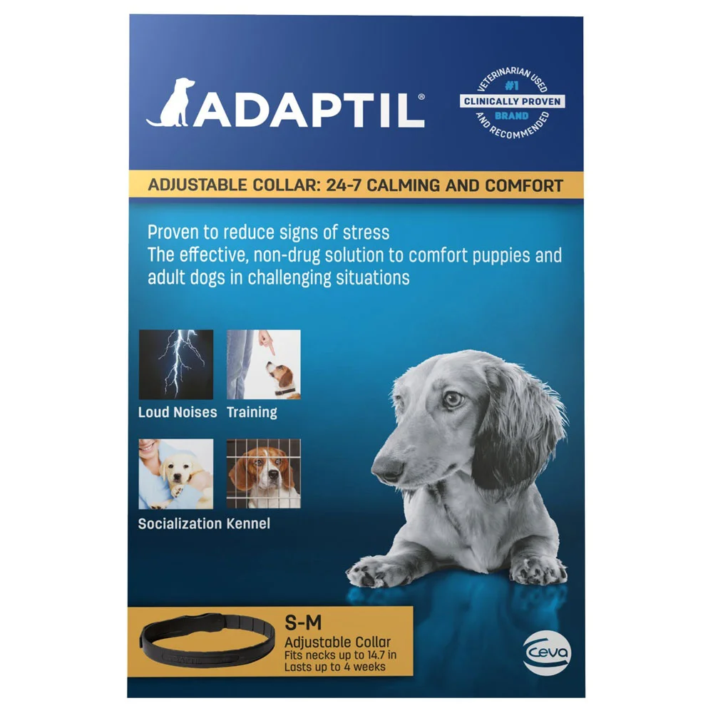 Adaptil Calming Collar — Modern Dog Shop