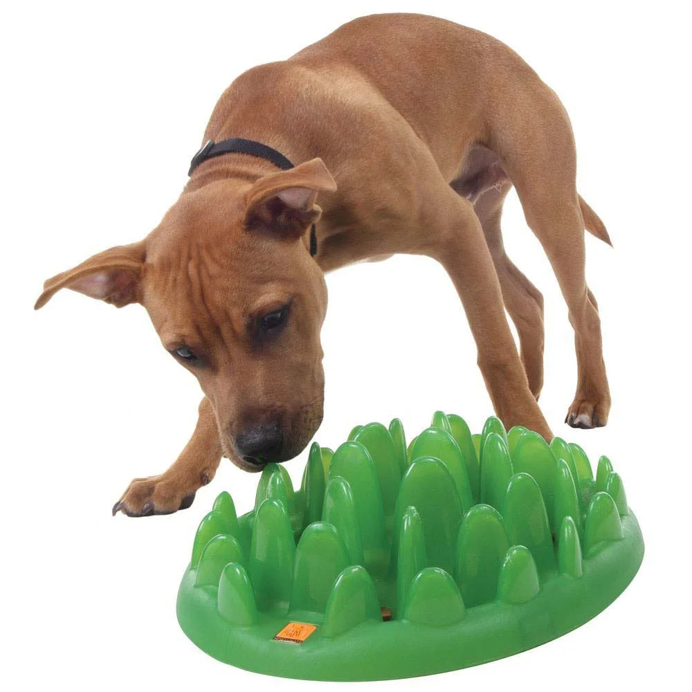CompanyofAnimals-NorthmateSlowFeeder2.jpg