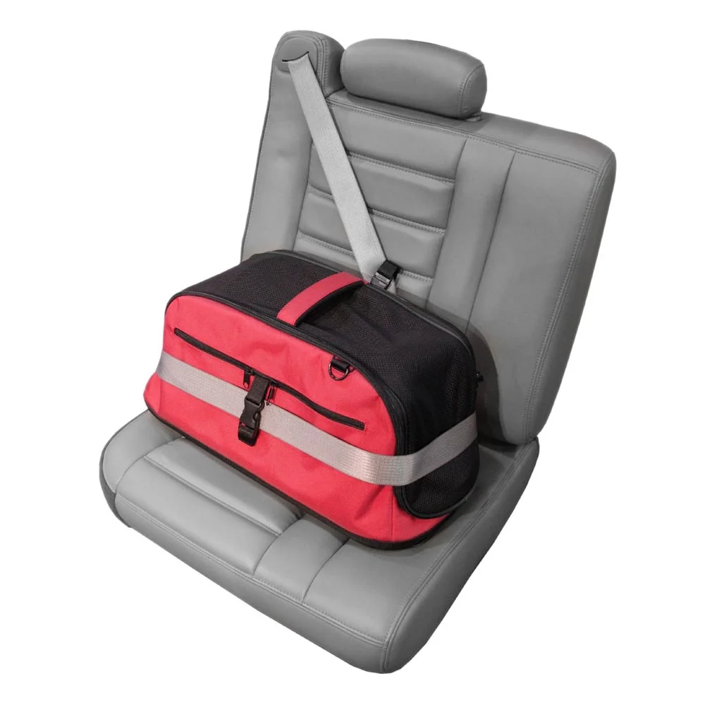 Sleepypod-TravelCarrier.jpg