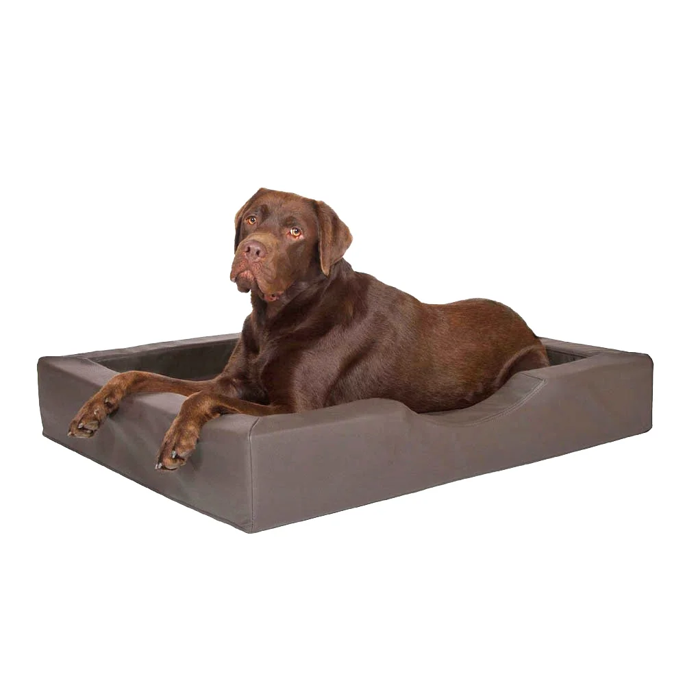 DoggyBeds-StepInBed.jpg