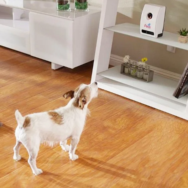 Petzi-TreatCam2.jpg