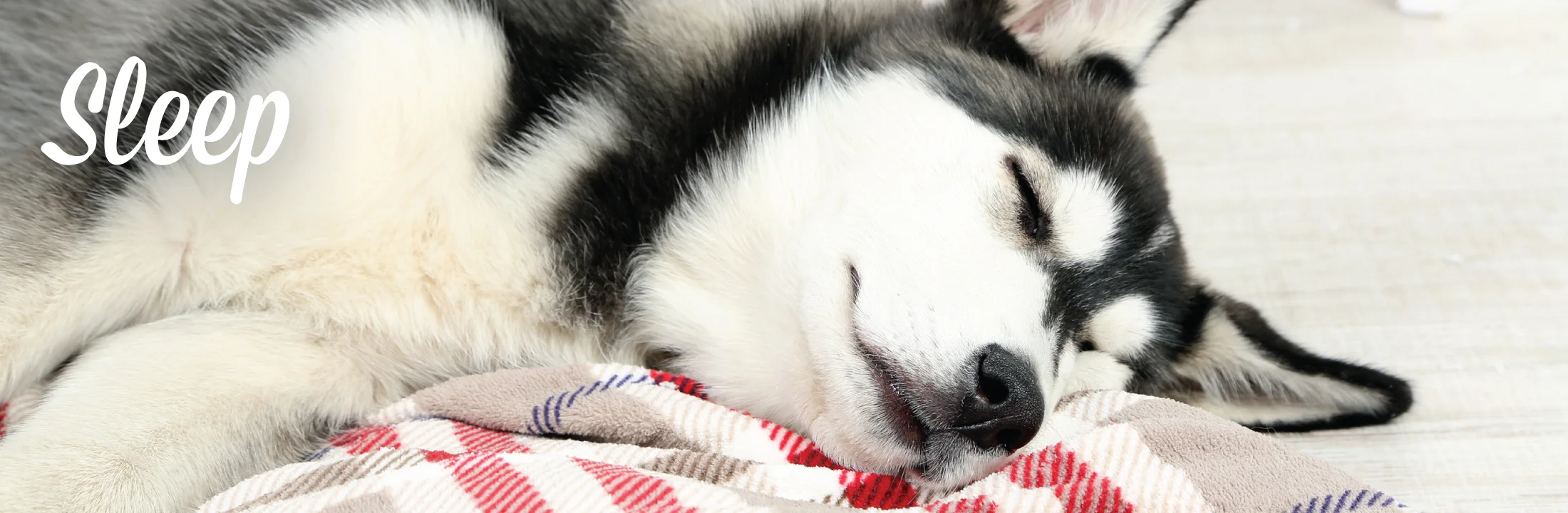 Sleep.jpg