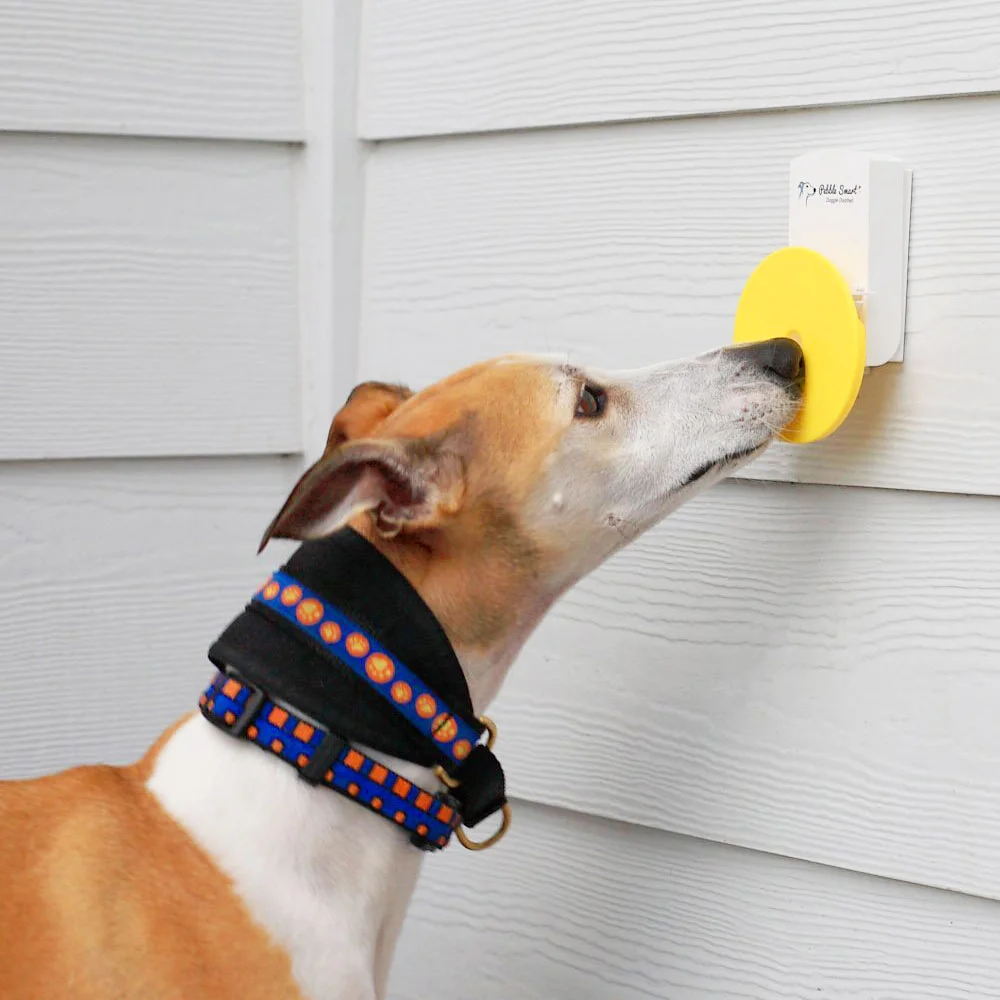 Doggie Doorbell — Modern Dog Shop