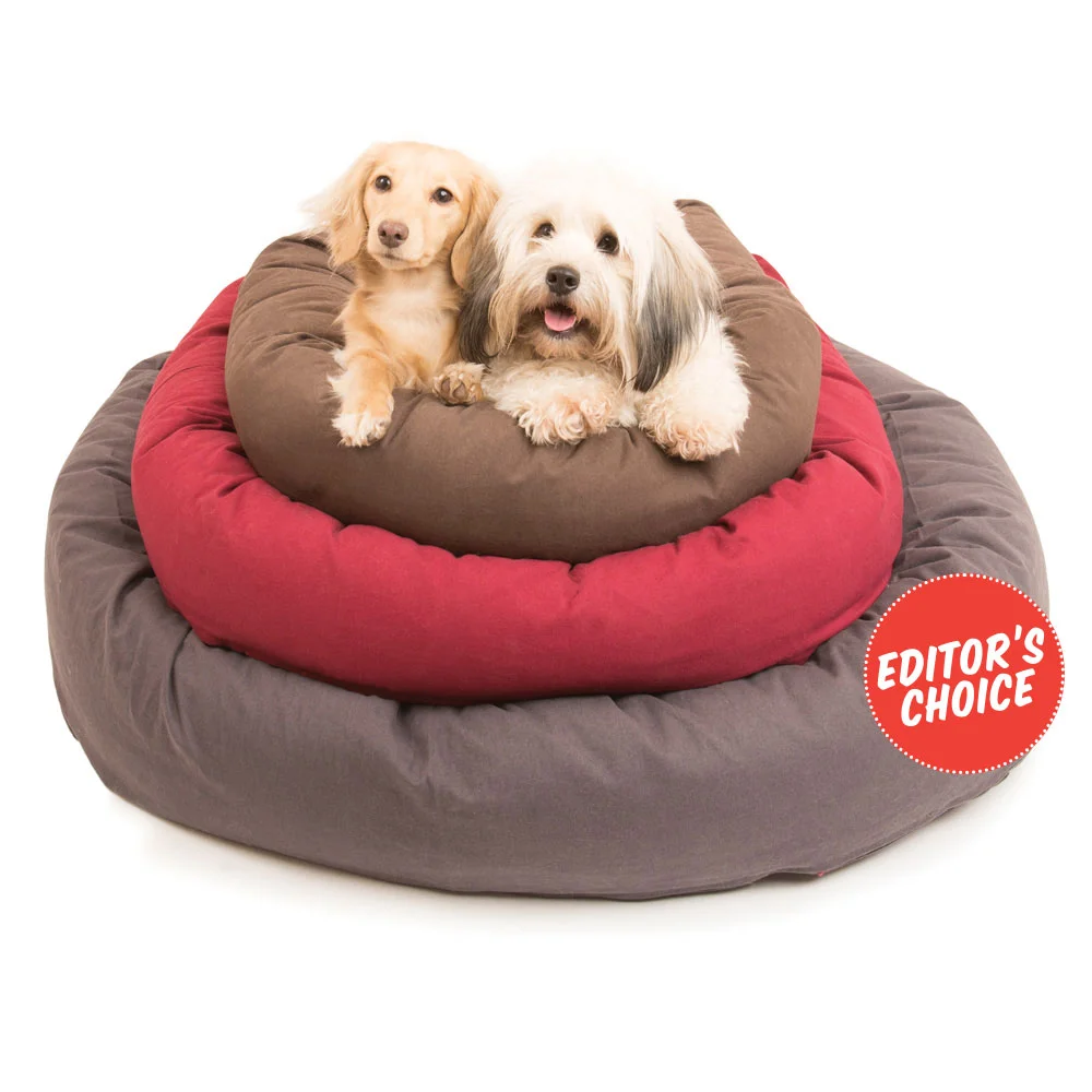 DogGoneSmart-DonutBedBadge.jpg