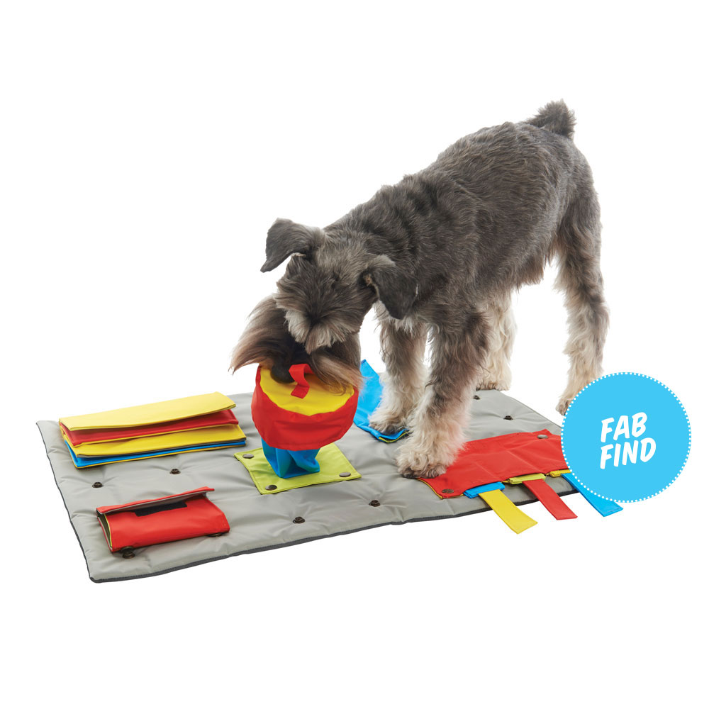 Buster Activity Mat —  Modern Dog Shop