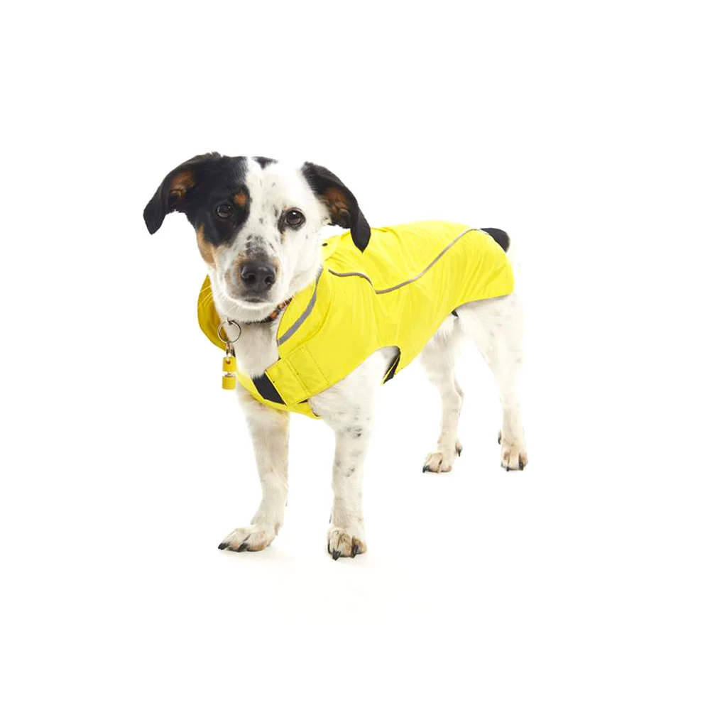 buster dog raincoat