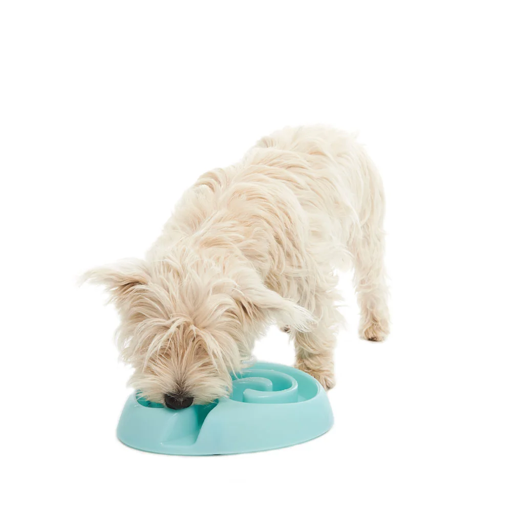 Buster-Dogmazeslowfeeder.jpg