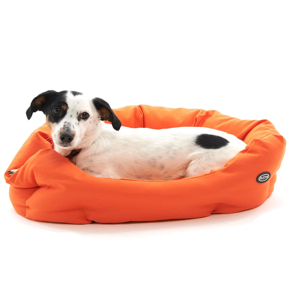 Kruuse-BusterBedDog2.jpg