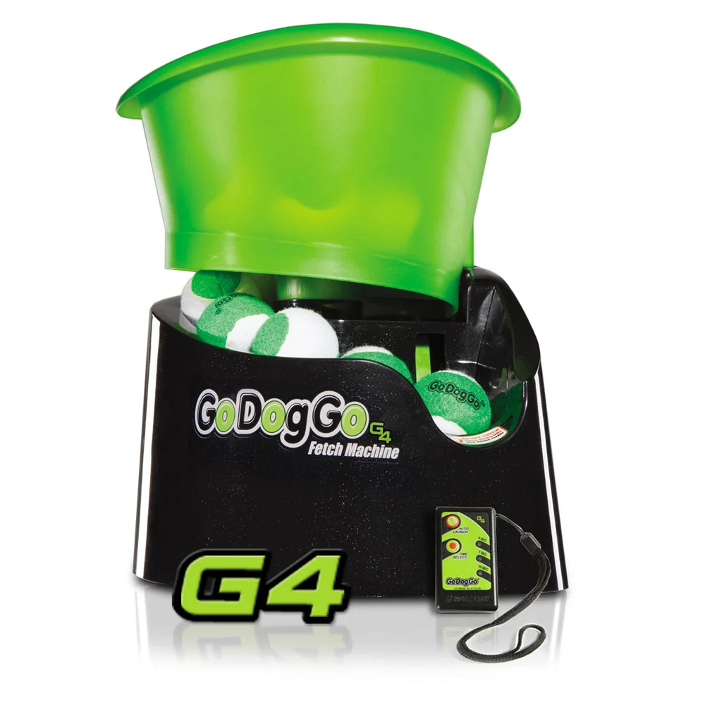 premium dog biscuits