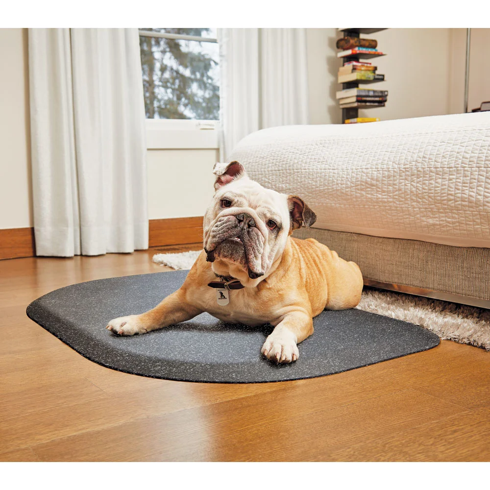 Wellness-PetMat.jpg