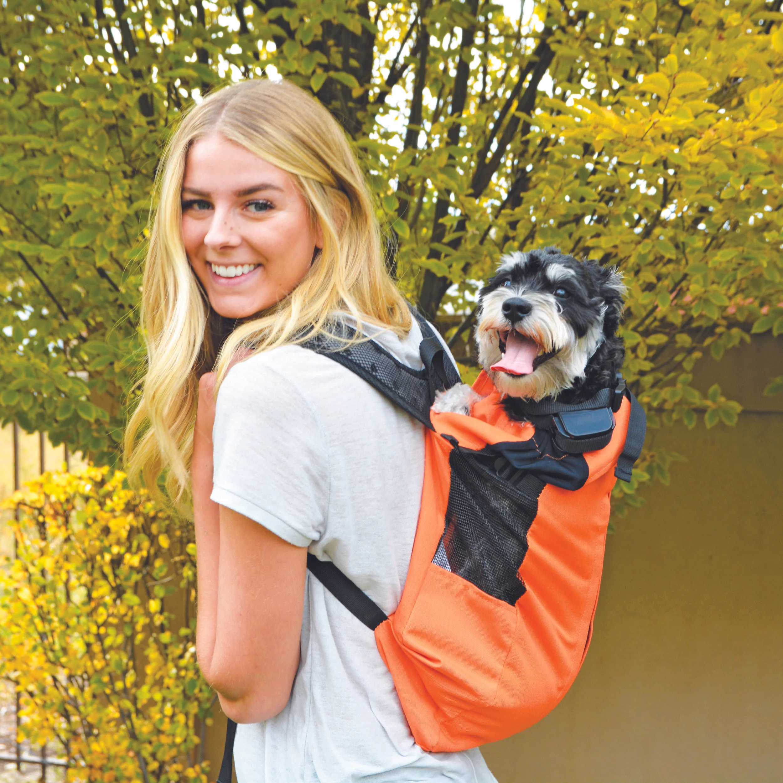 front facing dog backpack
