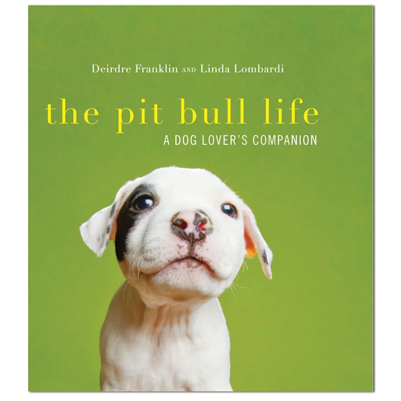 pitbull dog shopping