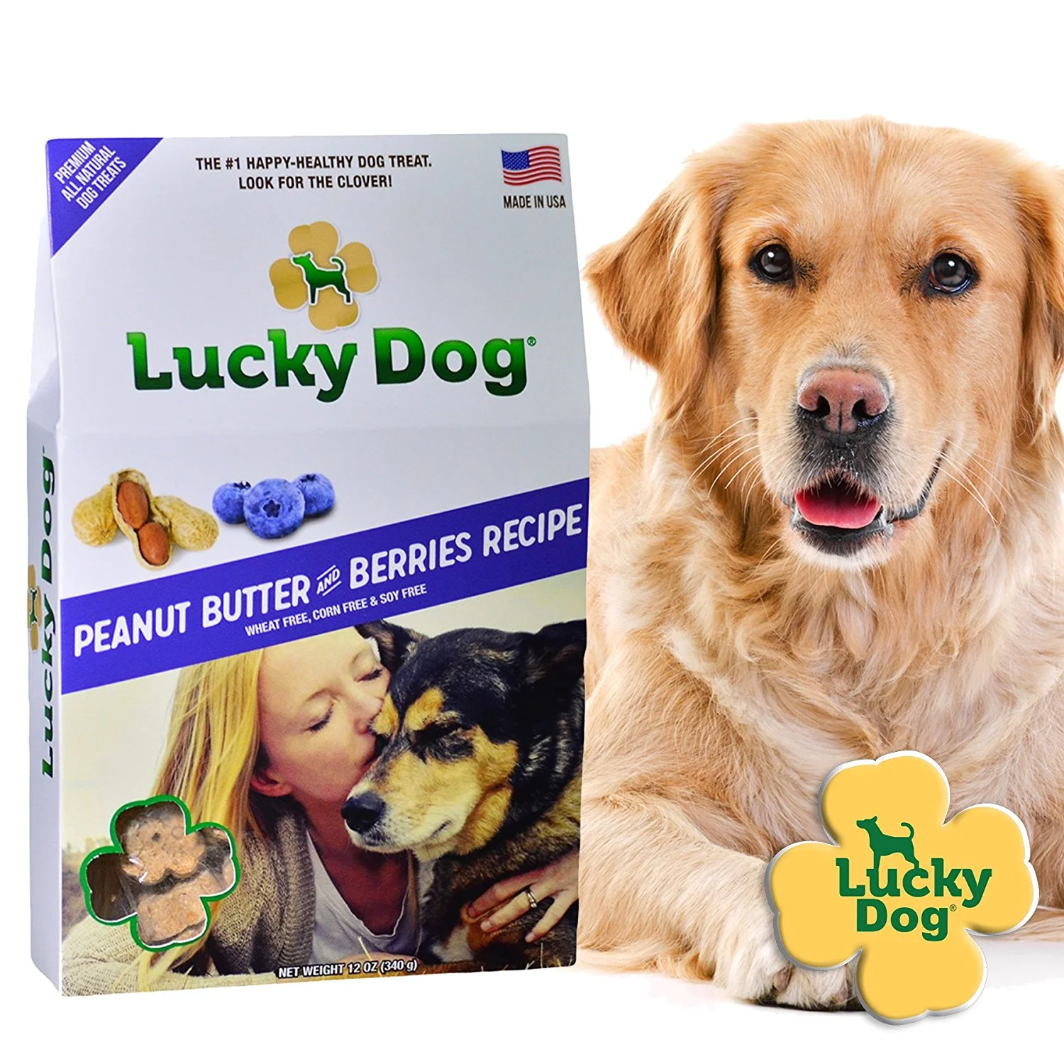 lucky-dog2.jpg