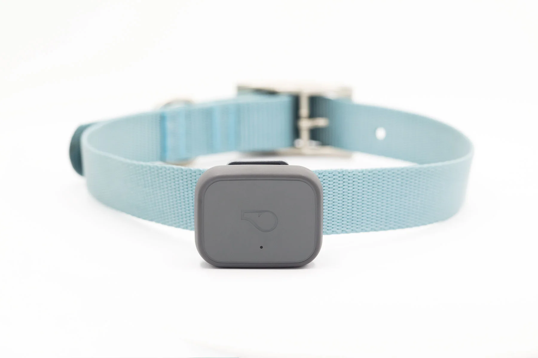 whistle-3-device-on-collar.jpg