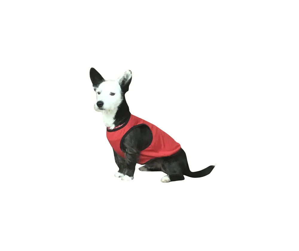Canine-Vest-Dog2.jpg