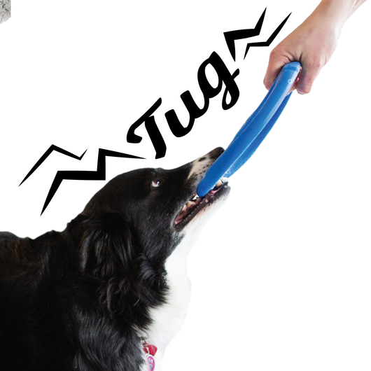 WO-Tug_Photos-02_530x.png