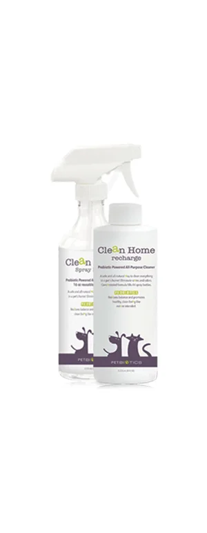 clean-home.jpg