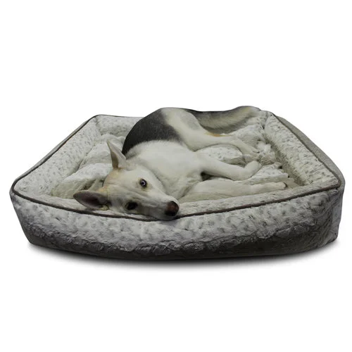 wwe dog bed