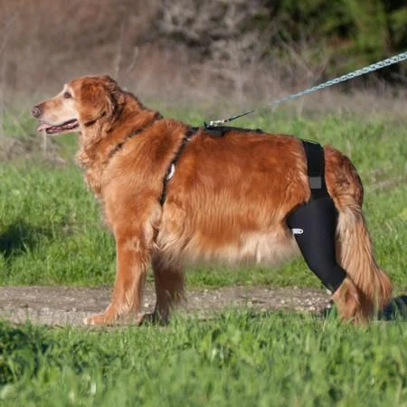 PROD-kneebrace-riggs1_large.jpg