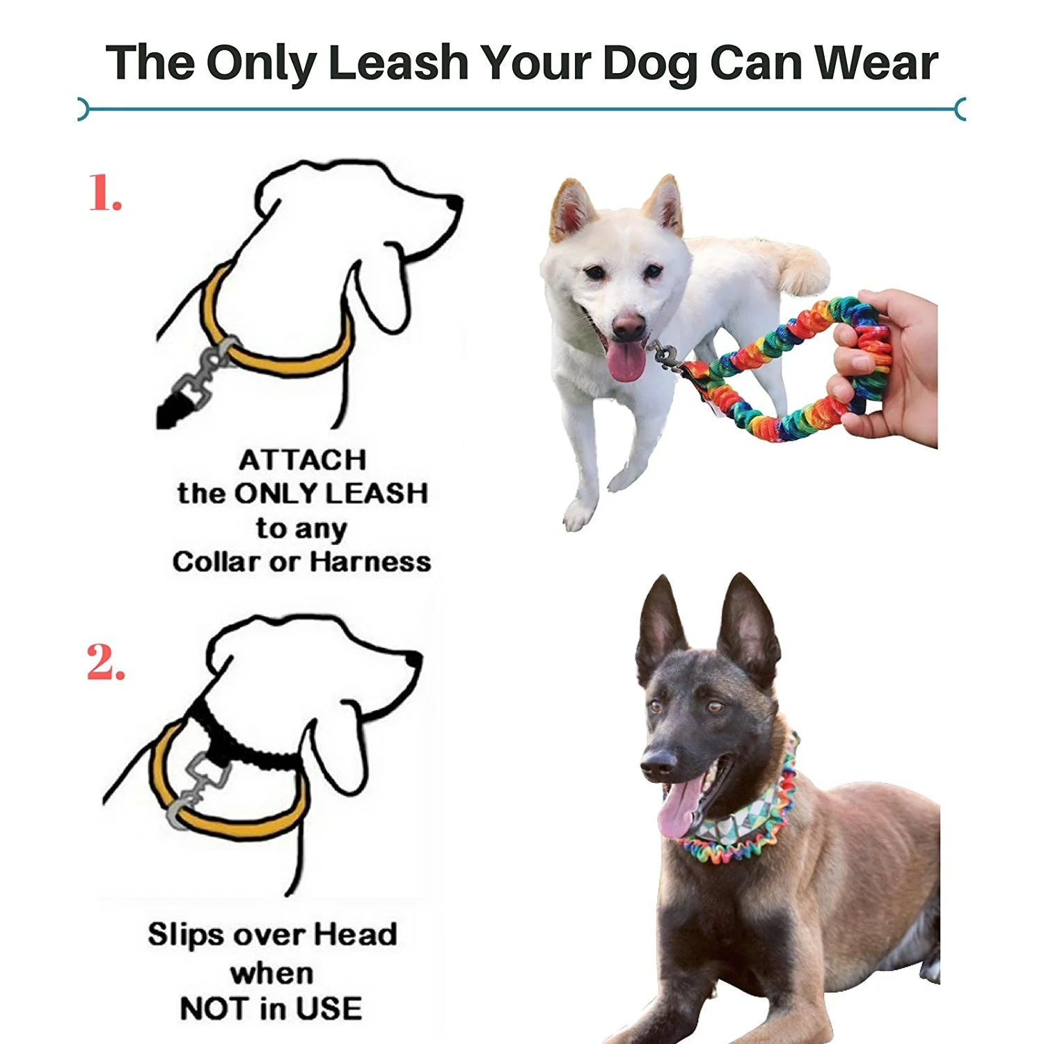 only leash