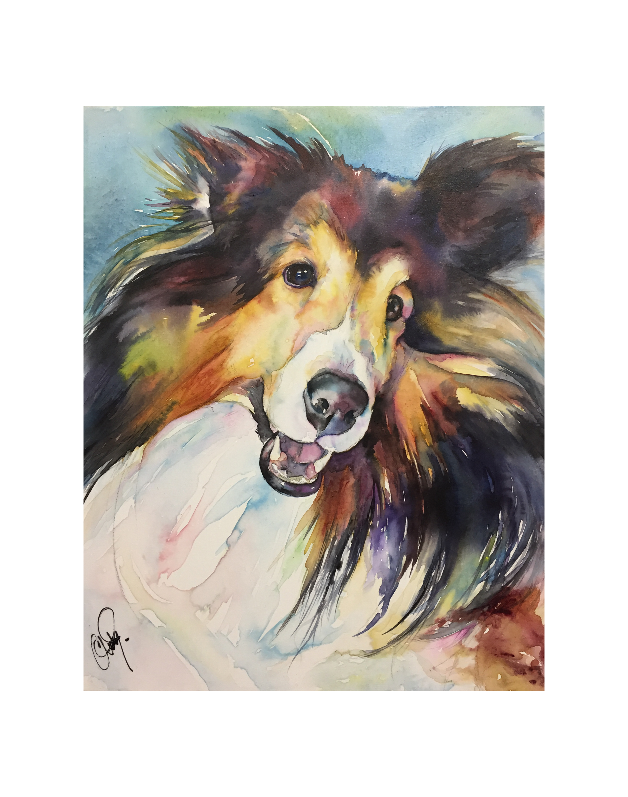 Sheltie-Portrait-ChristyStudios.png