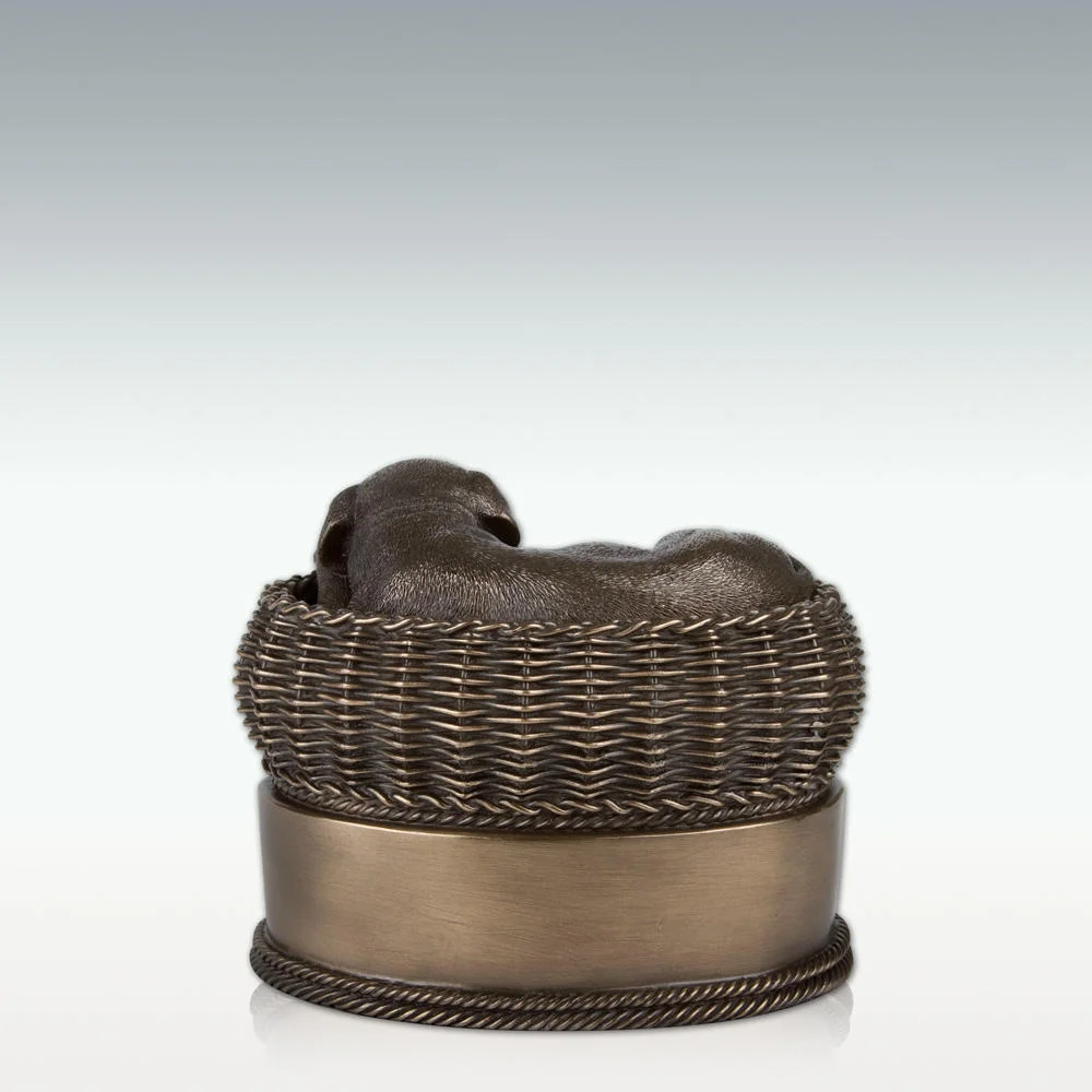 12142.doginbasketcrema_master_2.jpg