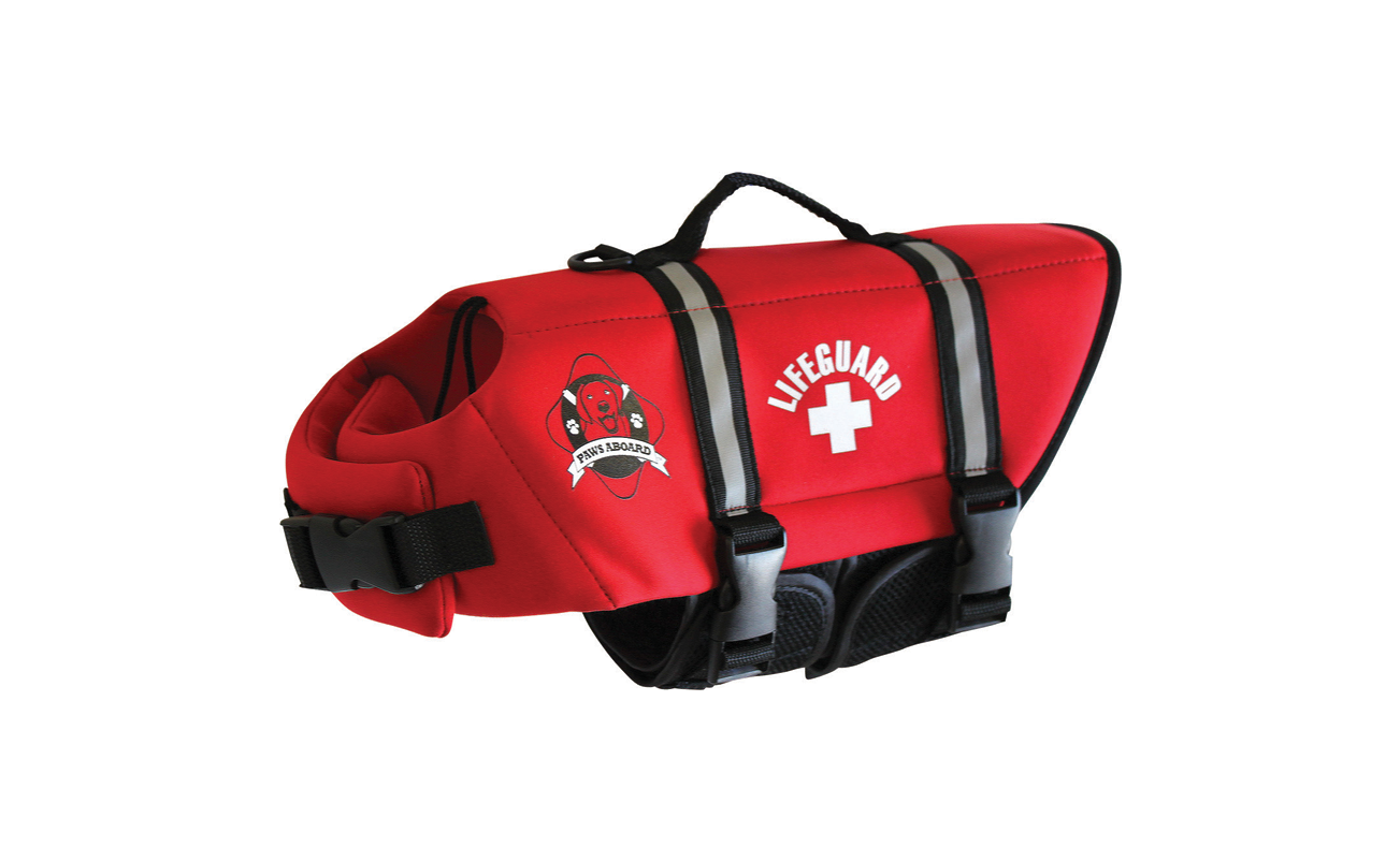 paws aboard life jacket