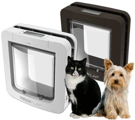 sureflap dog flap