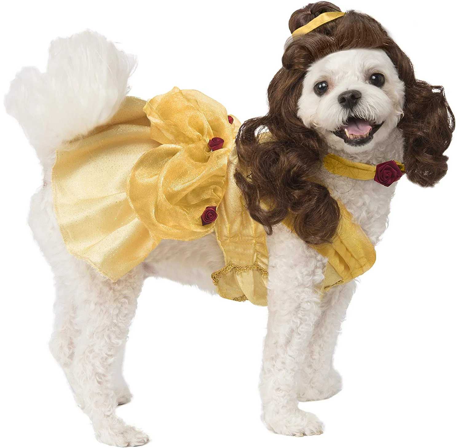 Belle.jpg