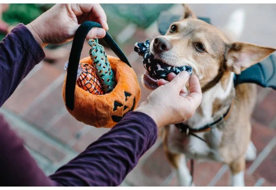 howl-o-ween_treat_basket_candies_by_p.l.a.y..jpg