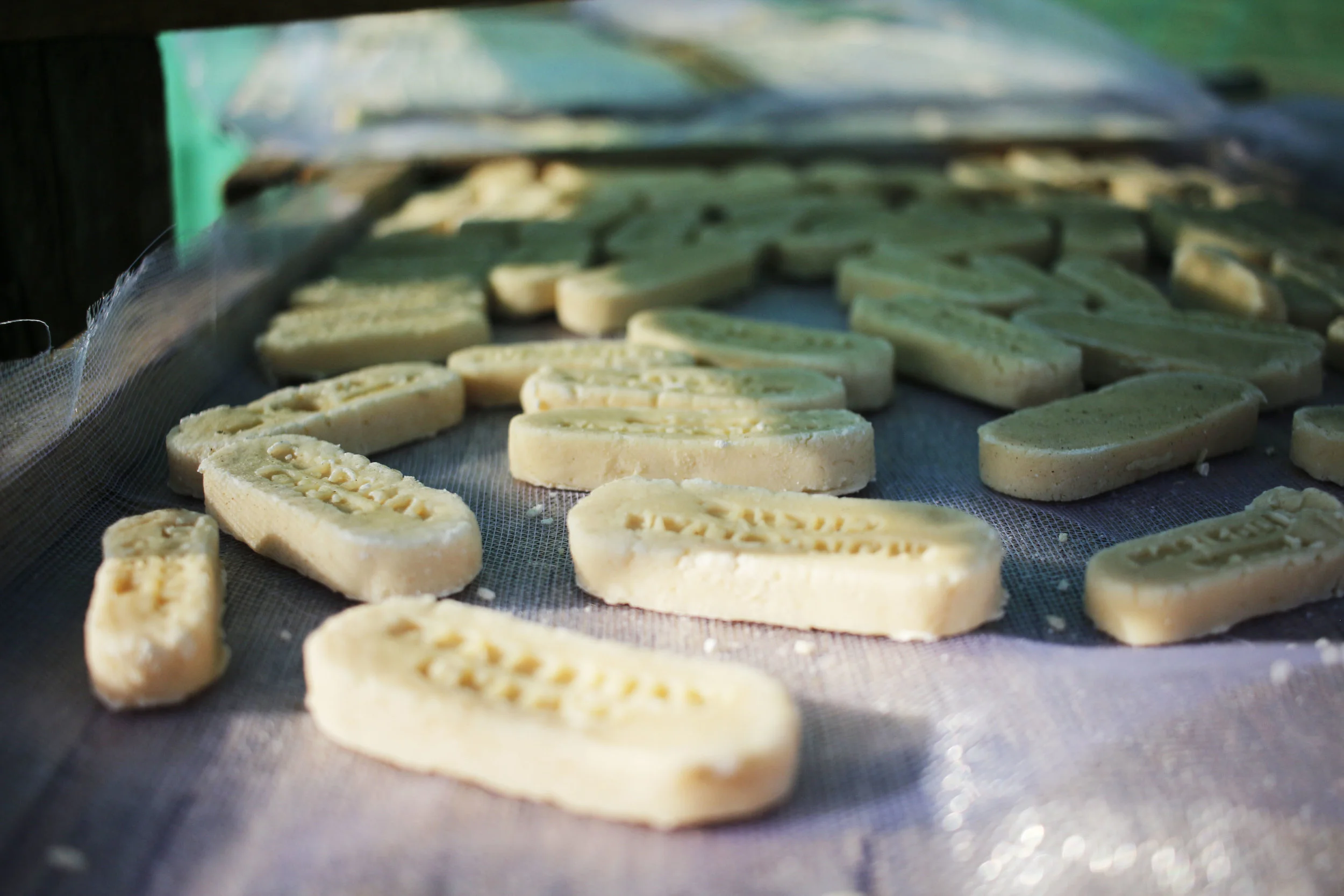 Yogurt Mongolian Chews — Modern Dog Shop