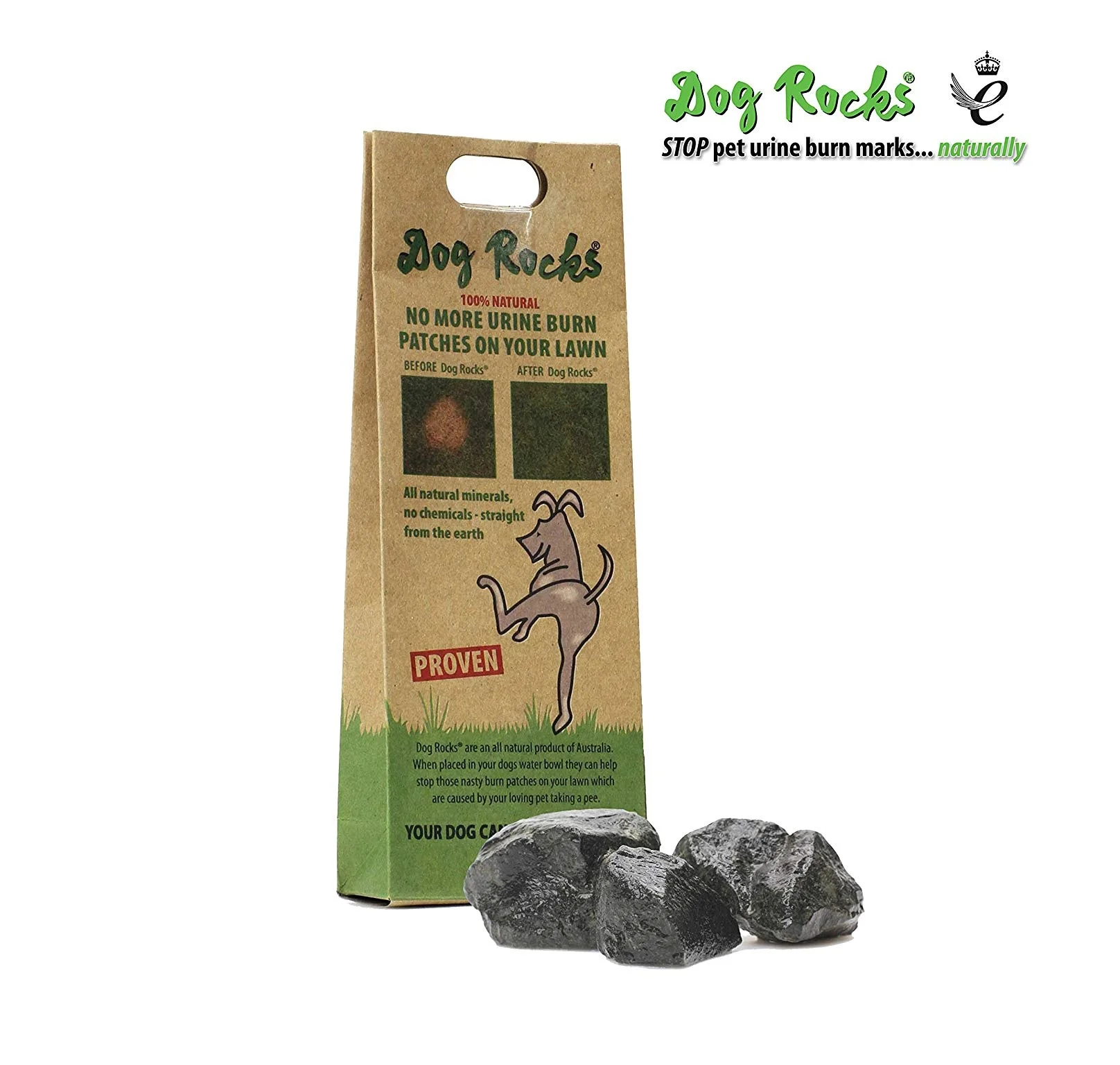 Dog Rocks.jpg