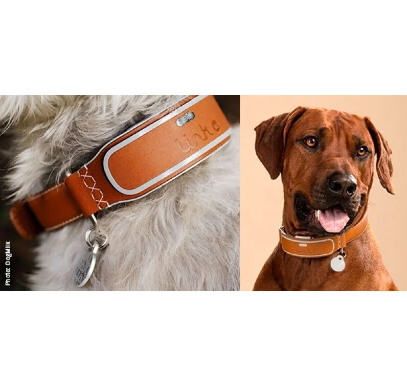 link gps collar
