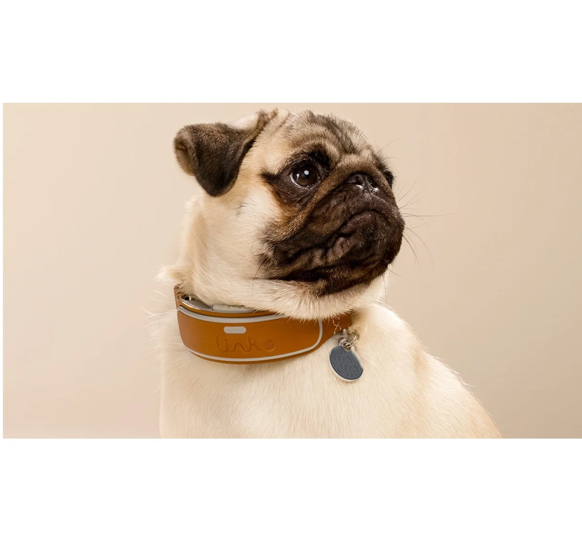 akc gps collar