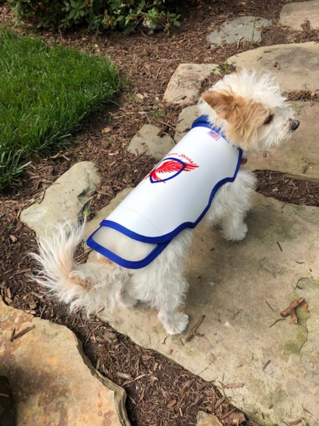 Raptor Shield Dog Protection Vest —  Modern Dog  Shop