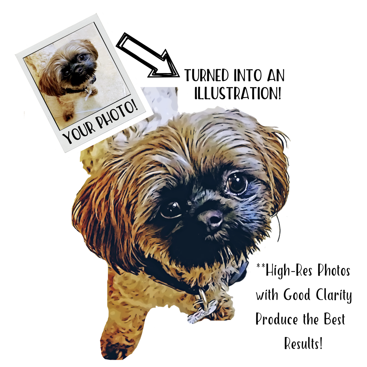 sofie illustration example.png