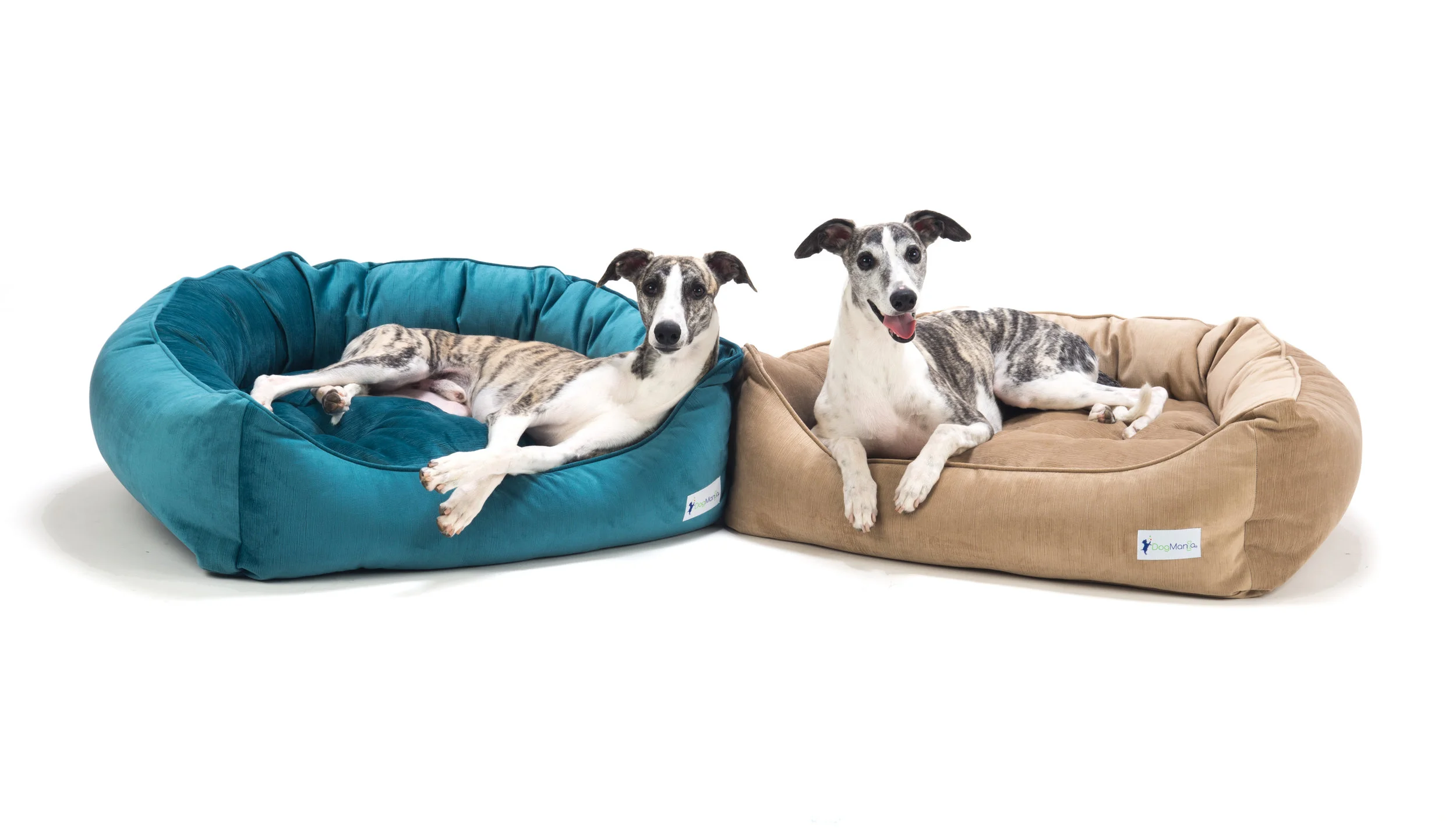 Convertible Snuggle Bed — Modern Dog Shop
