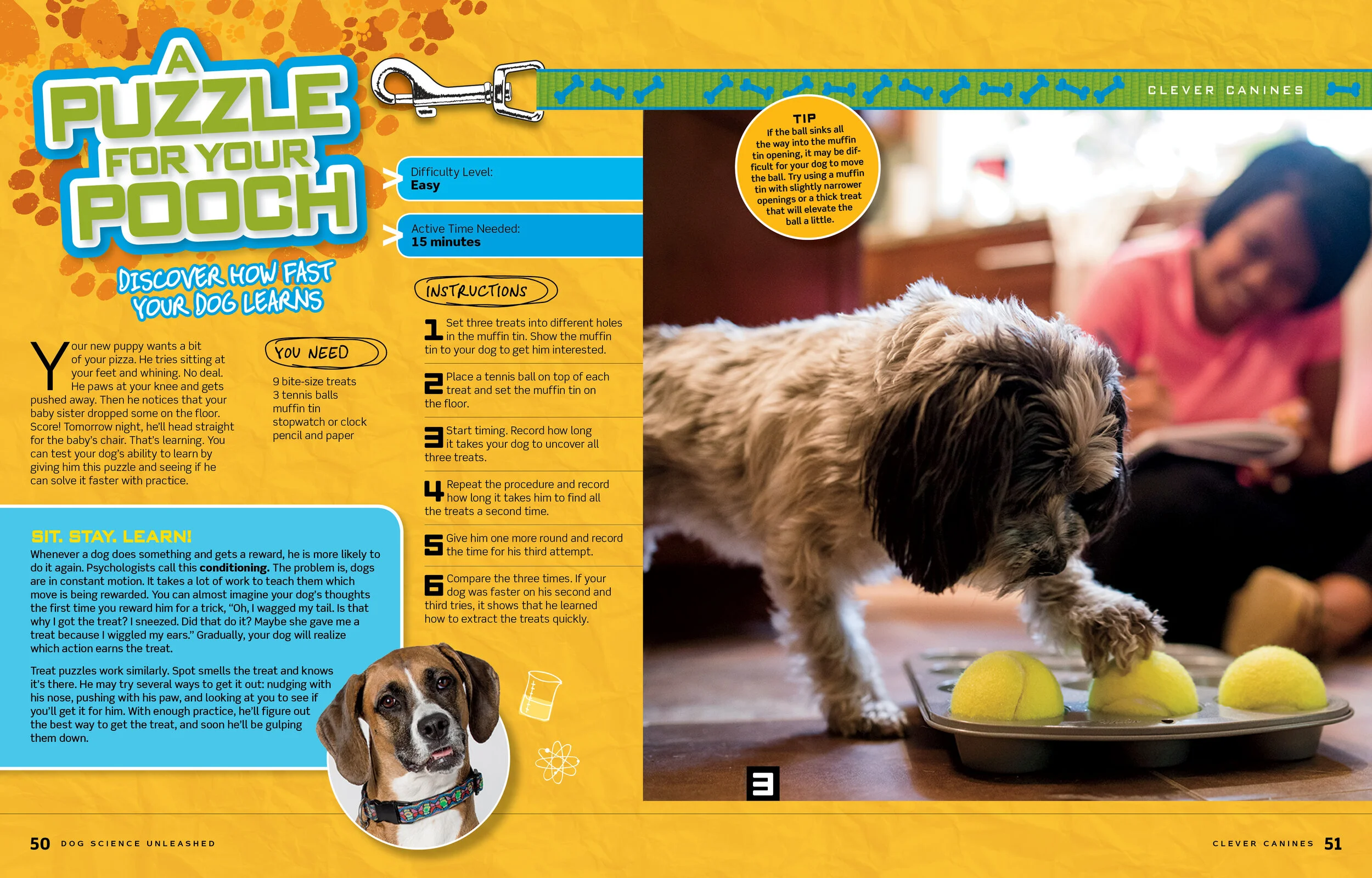 Dog Science Unleashed_Sample3.jpg