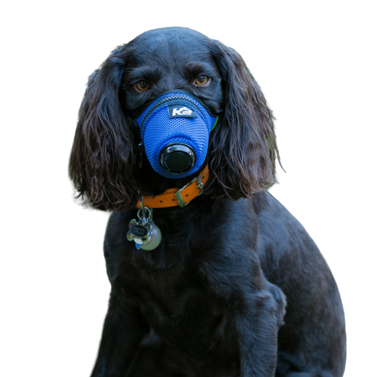 K9 Mask Air Pollution Filter for Dogs —