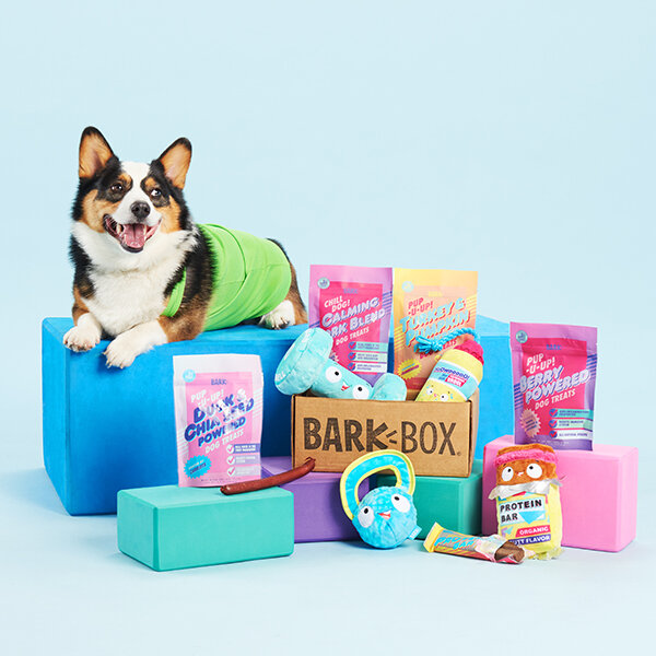 BarkBox Starter Kit Assortment Dog Toys and Treats – Corgi Things