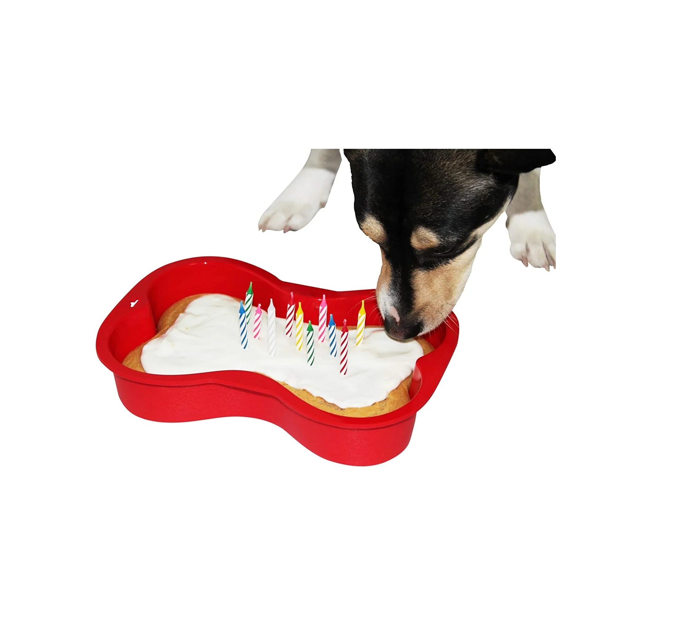 ice cream cake dog