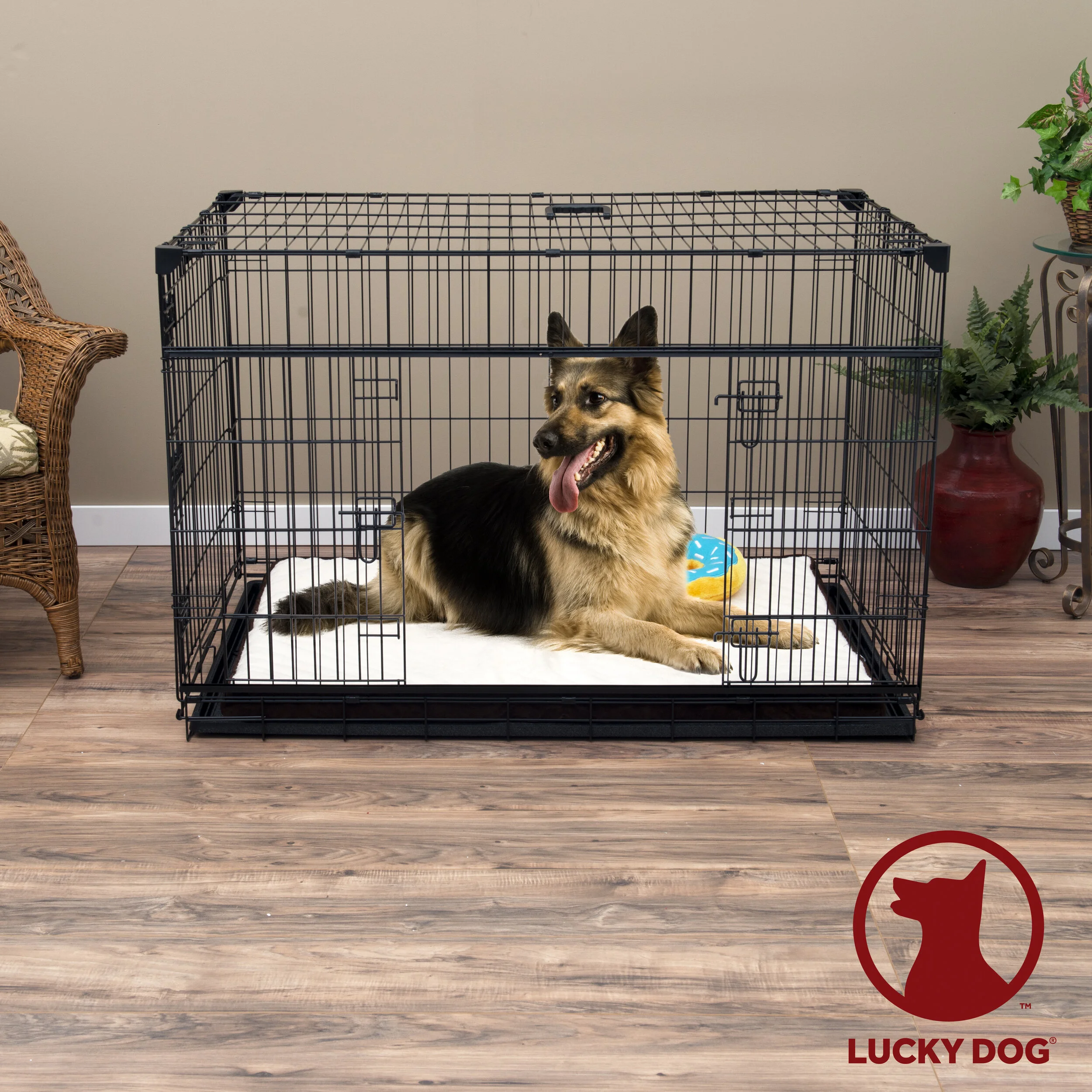 All Home — Shop at Modern Dog Magazine