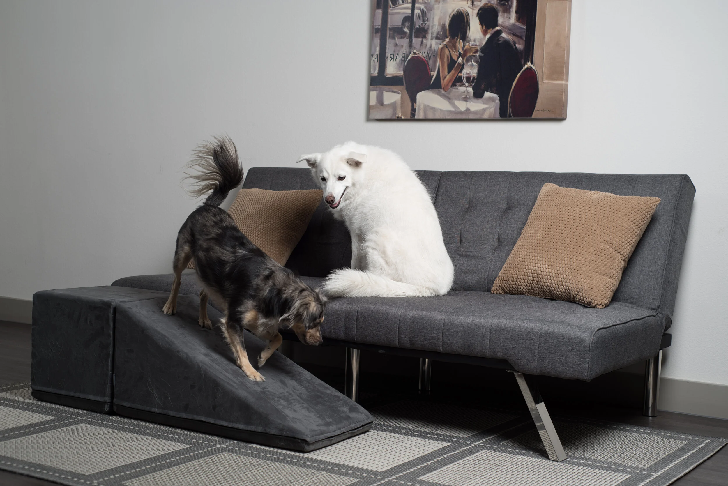 royal ramps pet ramp with landing