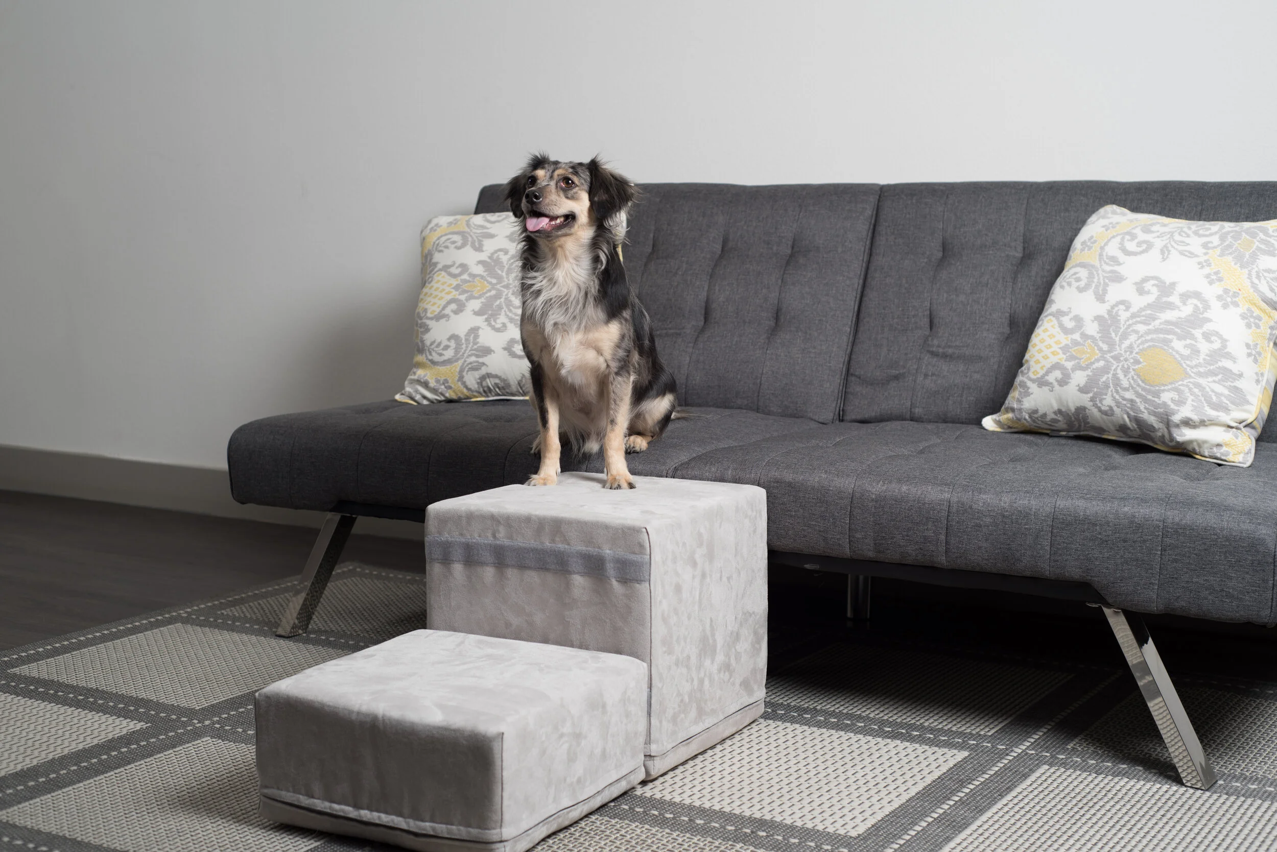 royal ramps pet ramp with landing