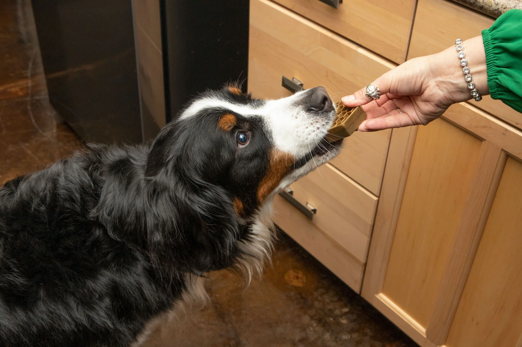 qchefs natural dental chew