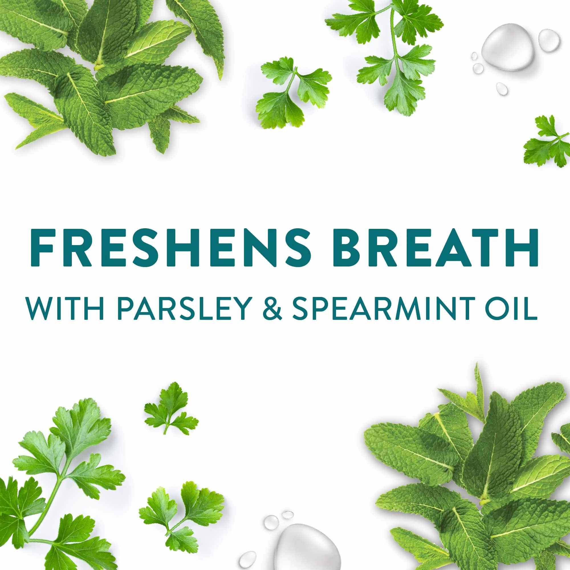 Dogswell Dental Jerky — Modern Dog Shop