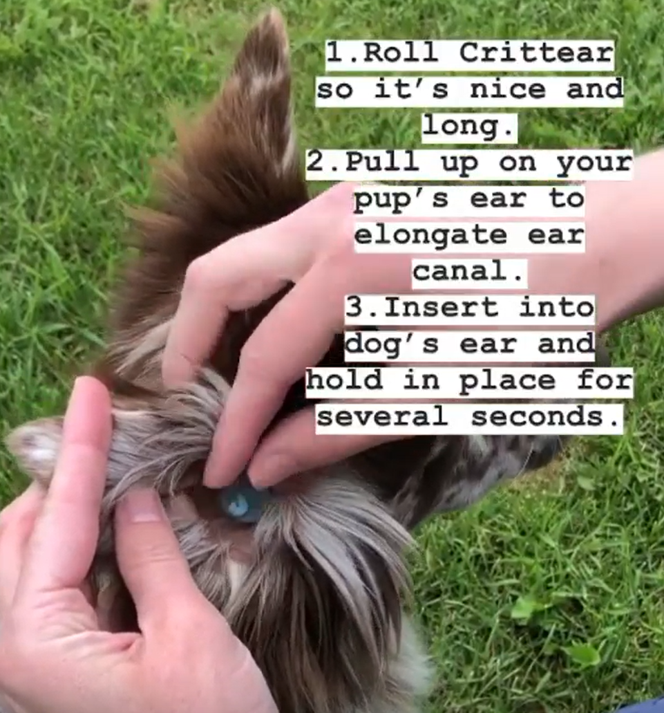 CrittEar Earplugs for Dogs — Modern Dog Shop