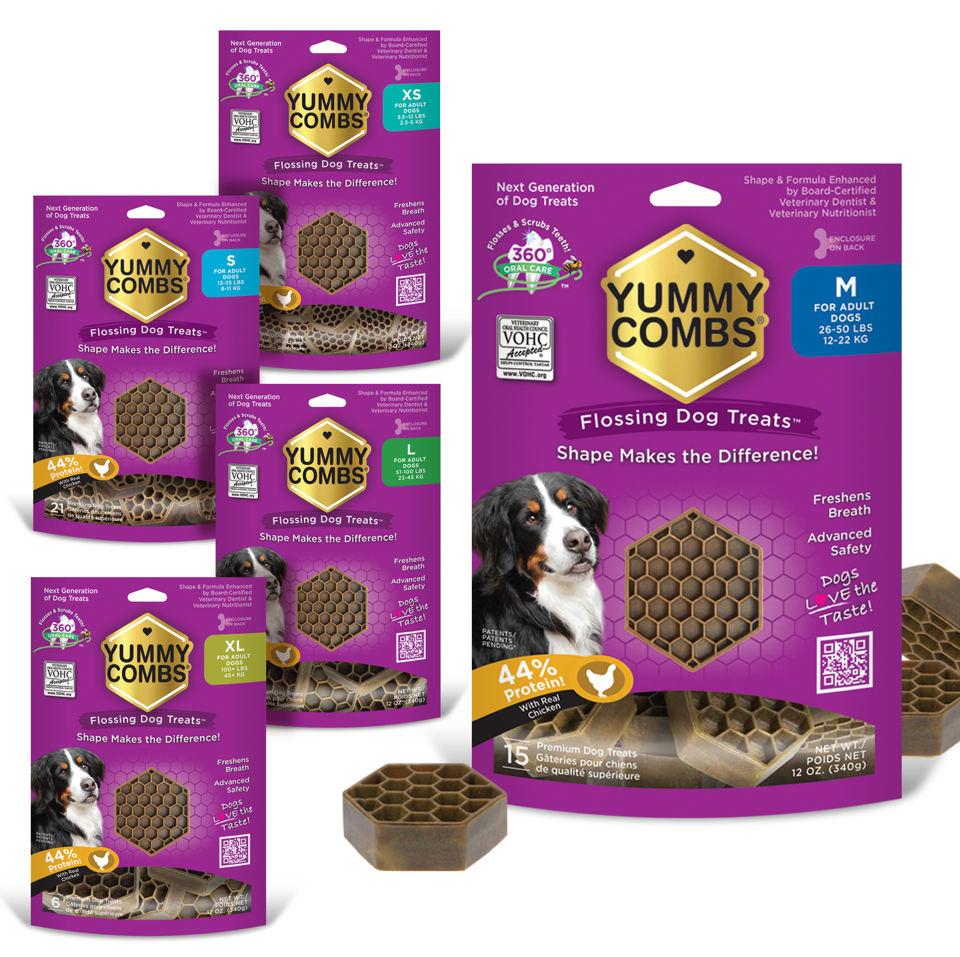 Barkery Box — Modern Dog Shop