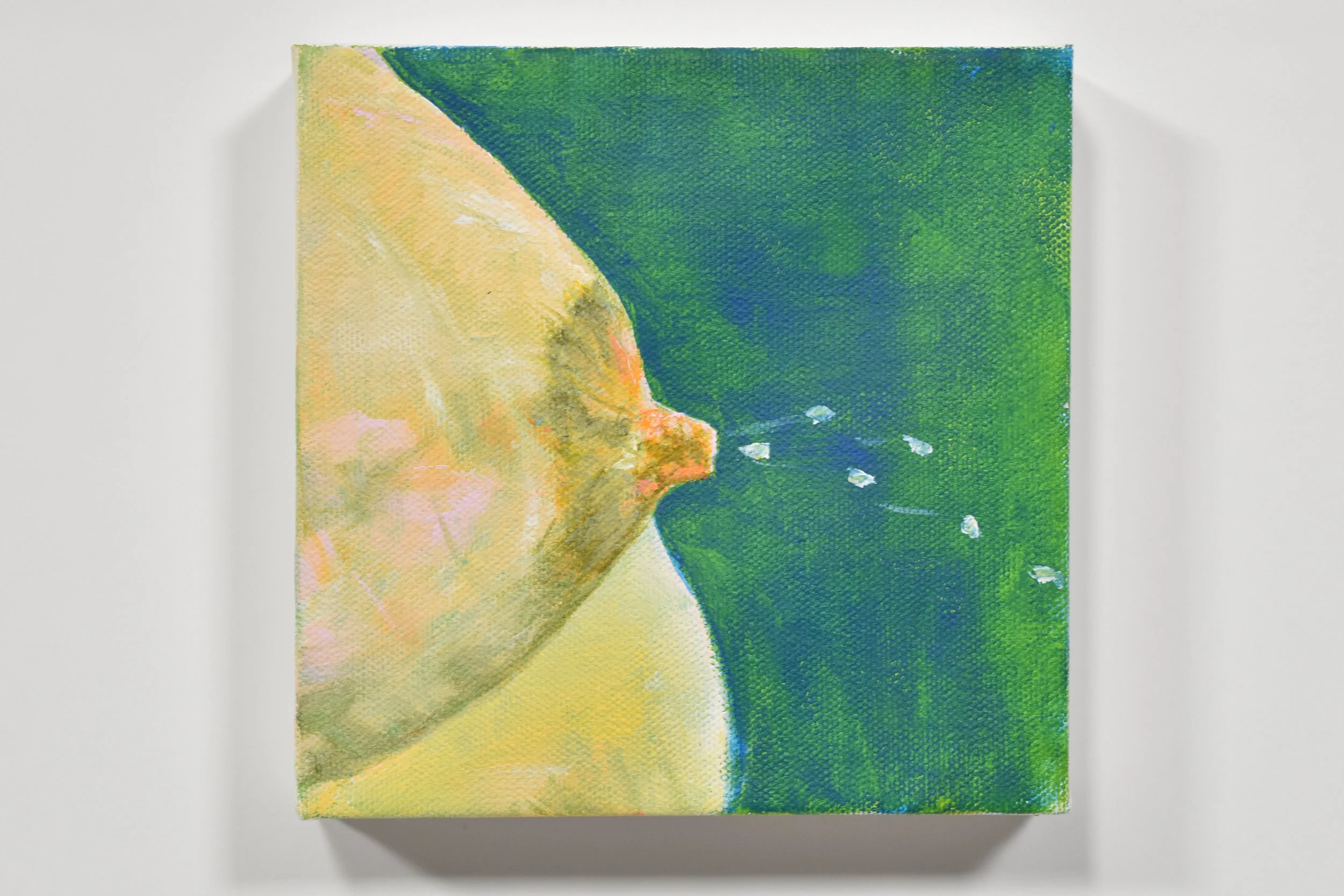 6" x 6"
