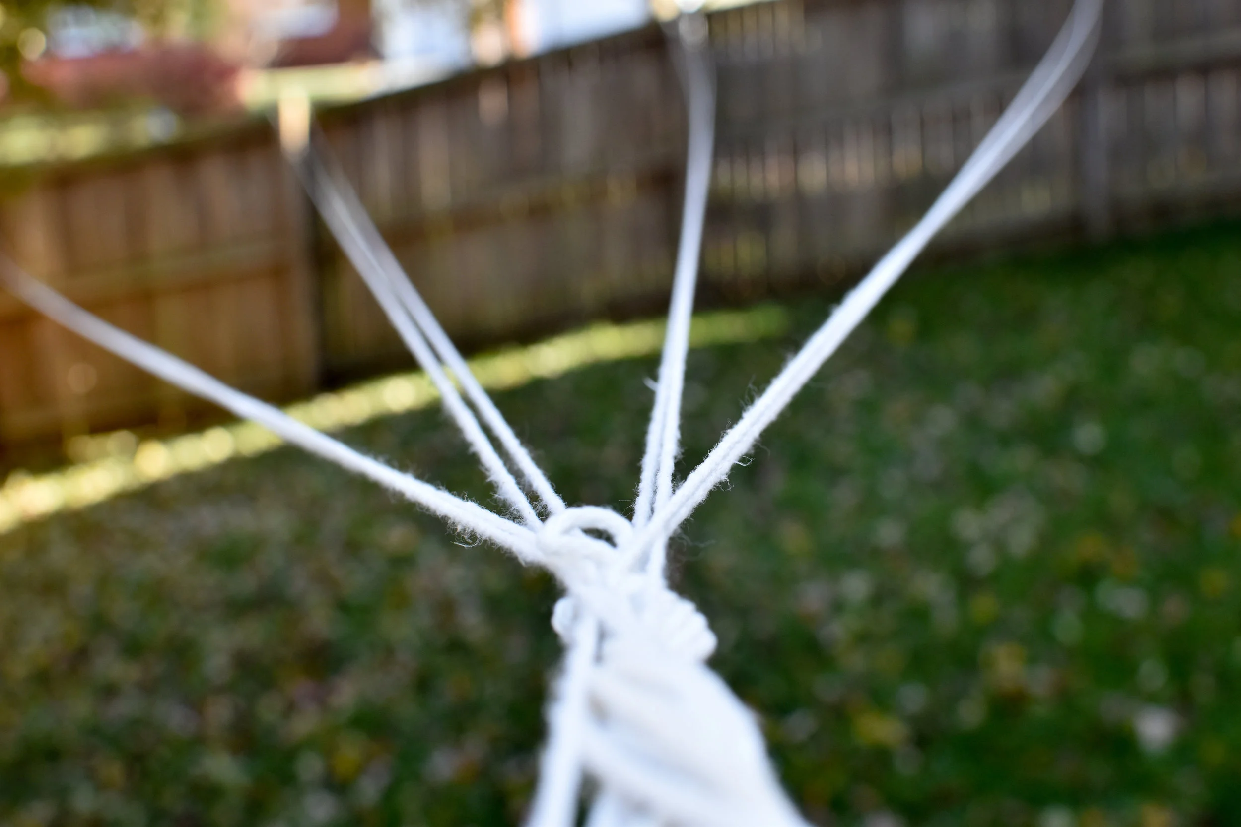 DSC_0011-1.jpg